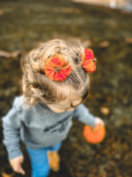 Pumpkin Clip & Piggies